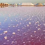 Modern In Torrevieja, 60 M², Near Beaches Lejlighed *